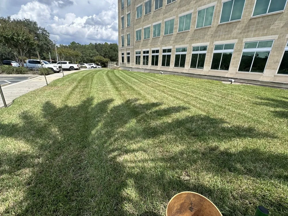 Trusted yard maintenance in Jacksonville, FL by Premier Landscapes