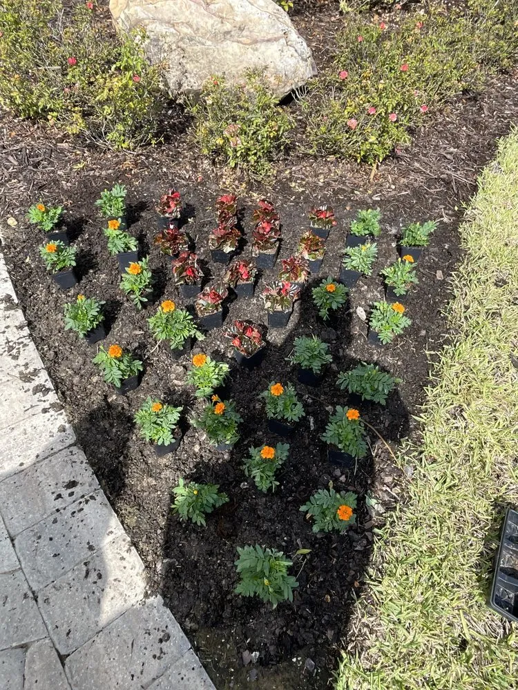 Professional landscaping services in Jacksonville, FL by Premier Landscapes