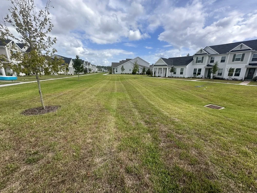 Affordable garden landscaping in Jacksonville, FL - Premier Landscapes