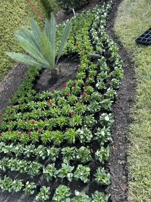 Premier Landscapes Logo