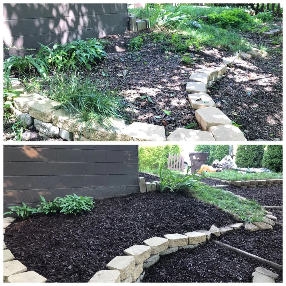 Expert lawn care service in Washington, IL - Premier Landscapes