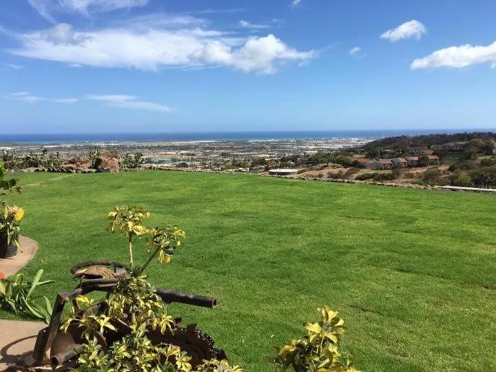 Professional landscaping services near you across Honolulu, HI - Premier Landscaping & Design