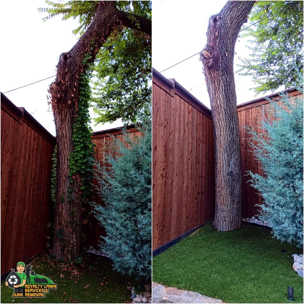 Expert yard cleanup service for residential properties across Crowley, TX - Premier Landscaping & Lawn Maintenance