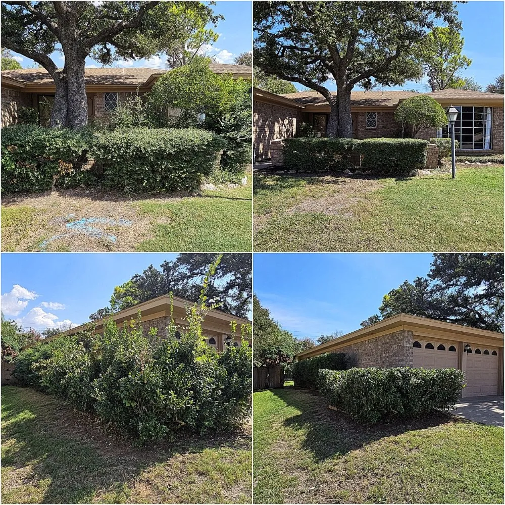 Reliable yard maintenance for year-round maintenance in Crowley, TX by Premier Landscaping & Lawn Maintenance