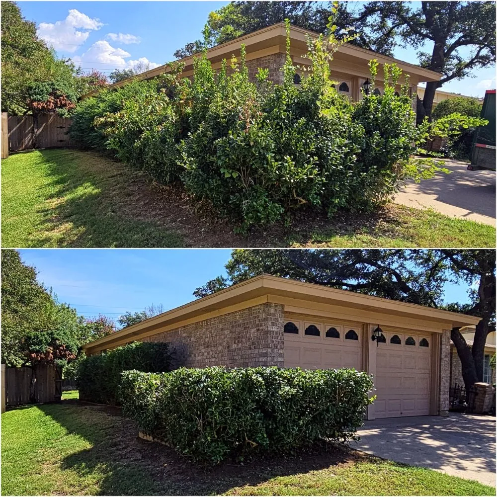 Professional yard cleanup service in Crowley, TX - Premier Landscaping & Lawn Maintenance