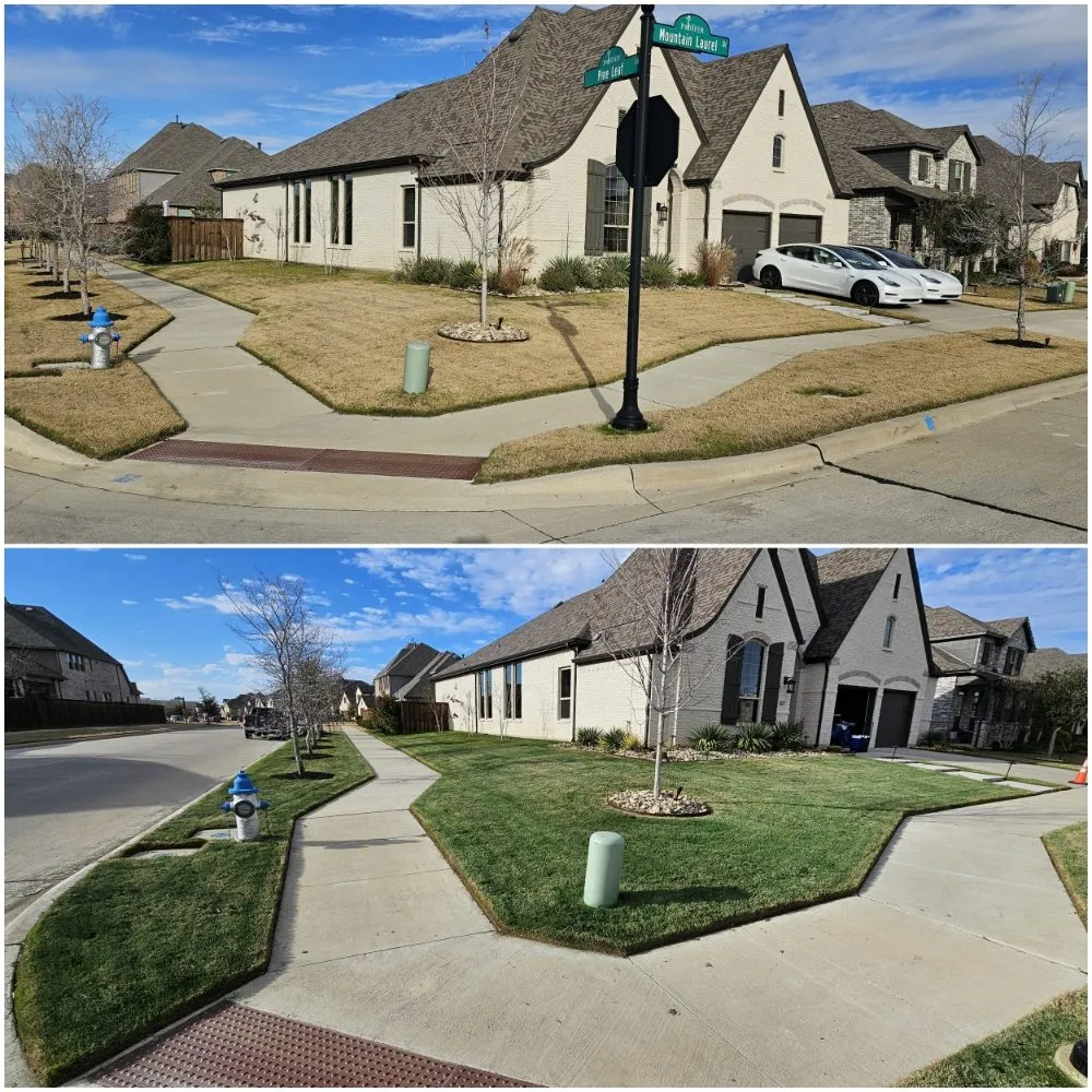 Custom yard cleanup service experts serving Crowley, TX - Premier Landscaping & Lawn Maintenance