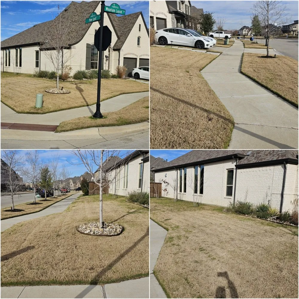 Reliable landscape design for beautiful yards across Crowley, TX - Premier Landscaping & Lawn Maintenance
