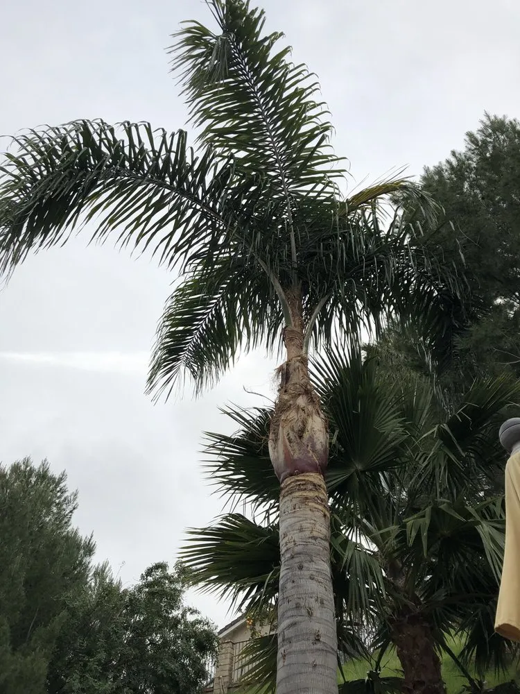 Trusted garden landscaping in Santa Clarita, CA by Premier Landscaping and Gardening service