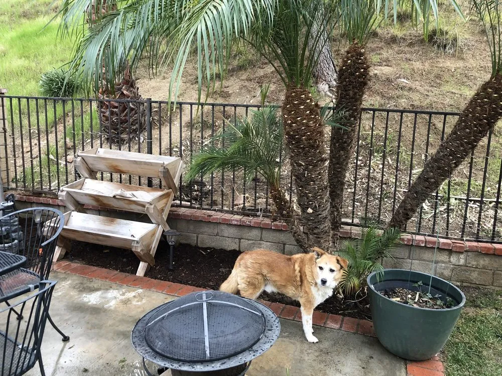 Trusted landscape installation for homes across Santa Clarita, CA - Premier Landscaping and Gardening service