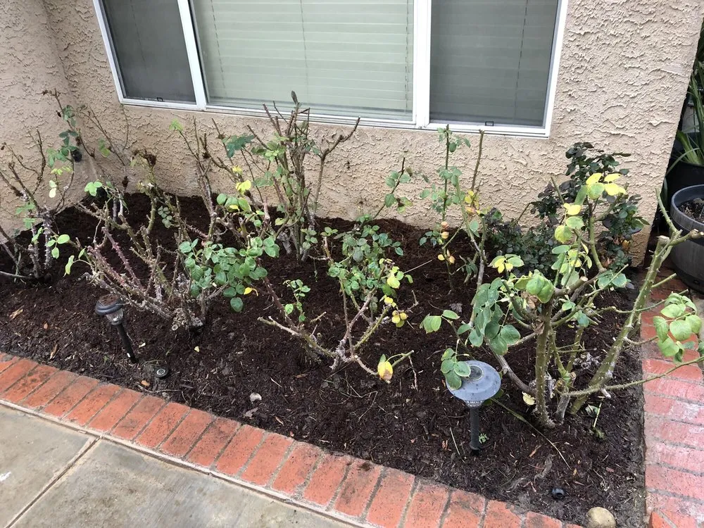 Expert residential landscaping experts serving Santa Clarita, CA - Premier Landscaping and Gardening service