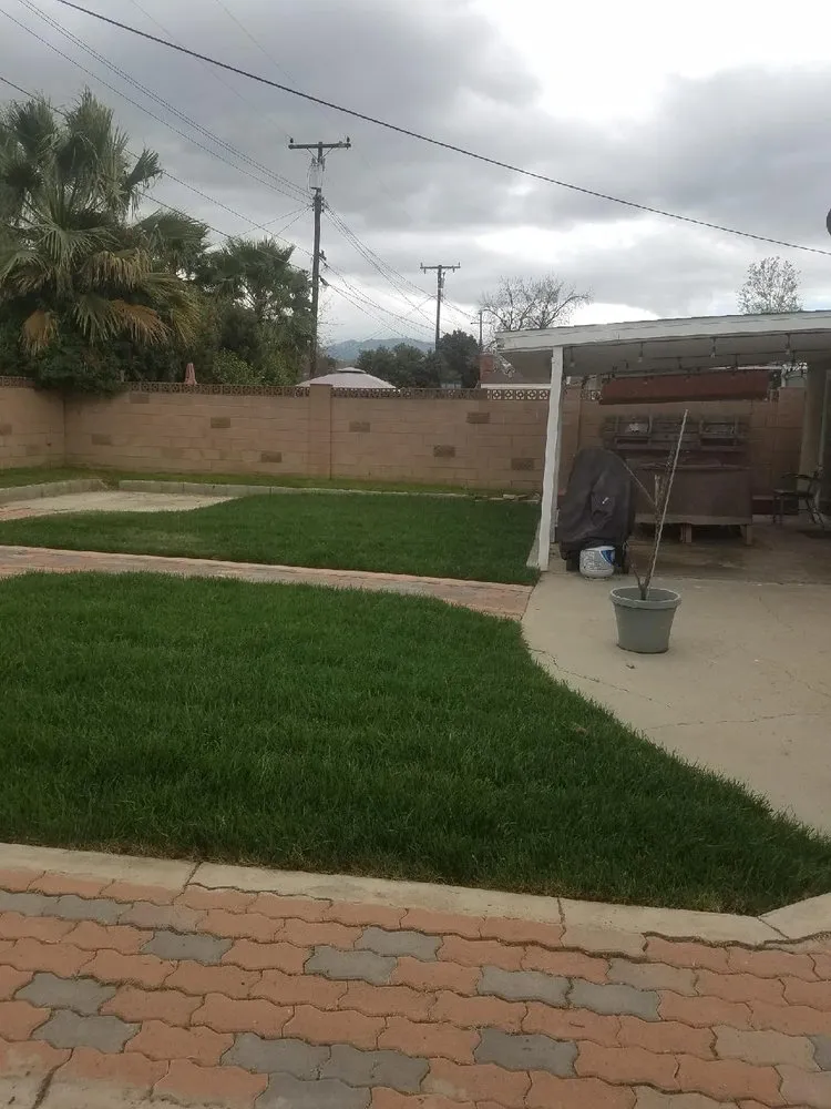 Expert landscaping services near you across Santa Clarita, CA - Premier Landscaping and Gardening service