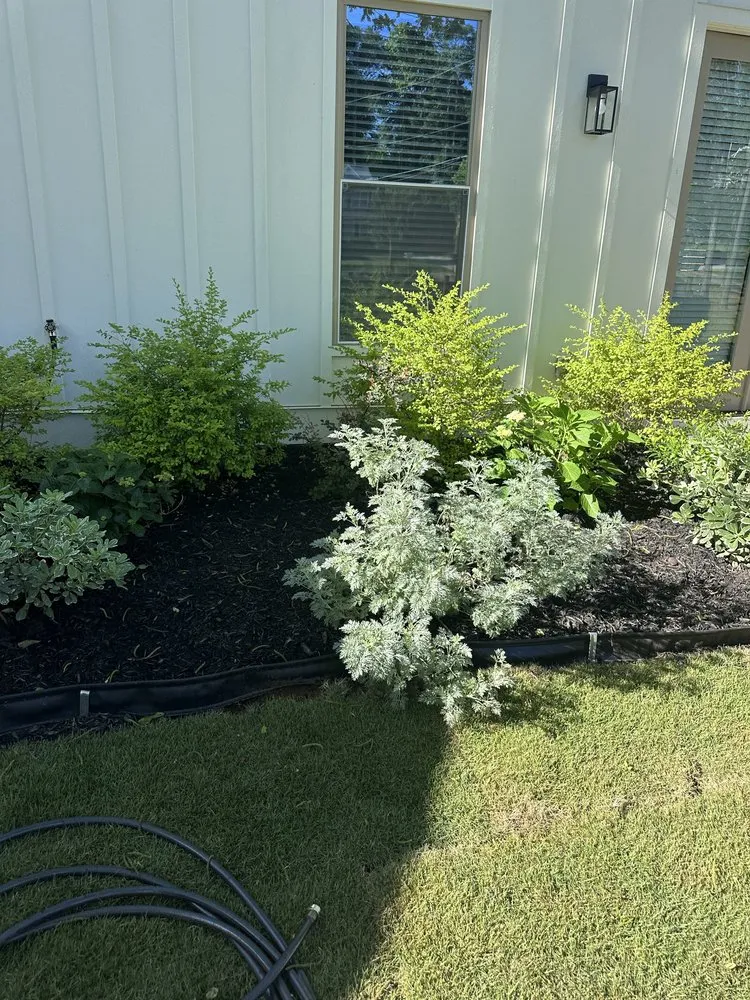 Expert lawn care service in Atlanta, GA by Premier Landscaping