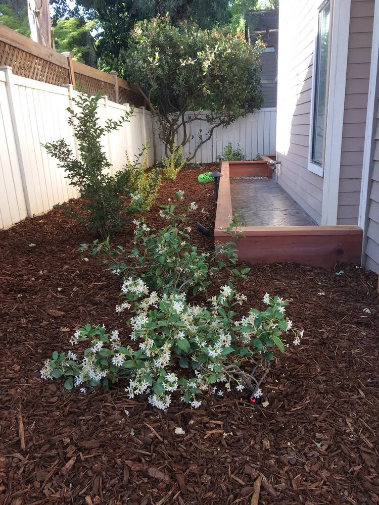 Professional landscaping services in Bakersfield, CA by Premier Landscaping