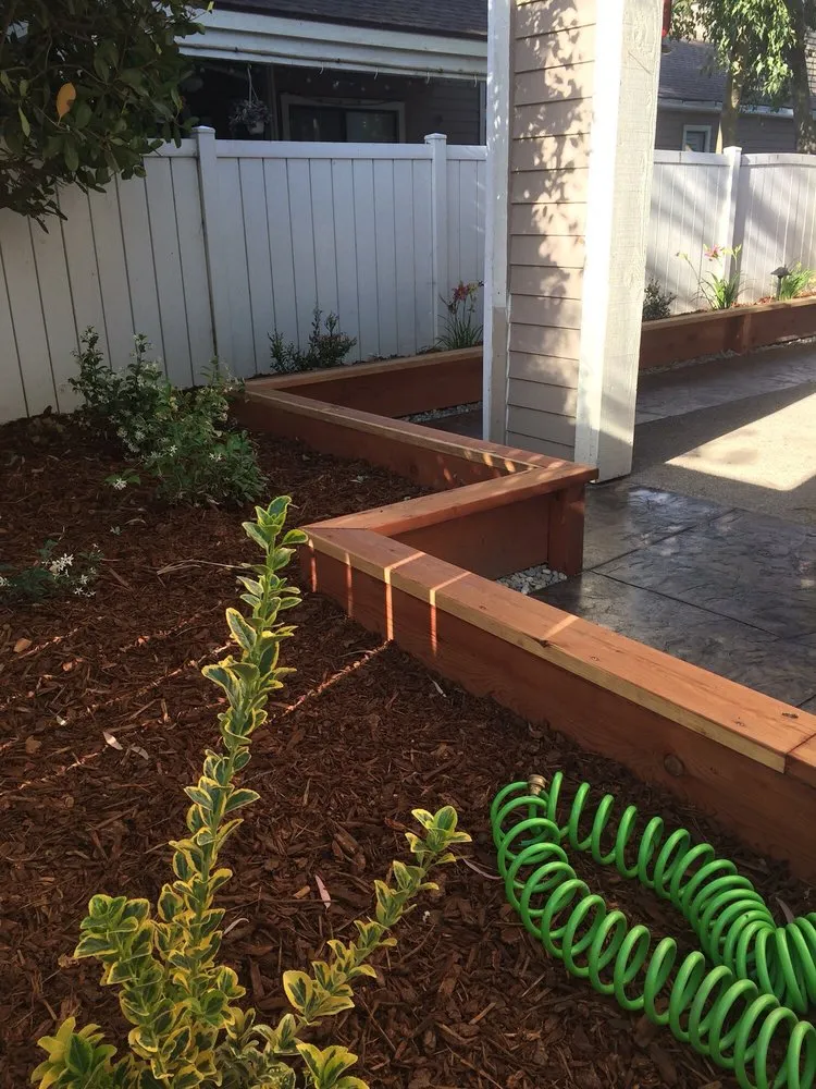 Professional landscape installation in Bakersfield, CA by Premier Landscaping