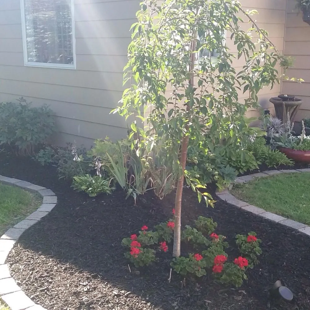 Top-rated landscape installation in Big Flats, NY - Premier Landscaping