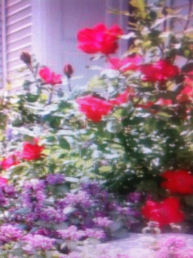 Reliable landscape design for outdoor upgrades in Cleveland, OH by Premier Landscaping