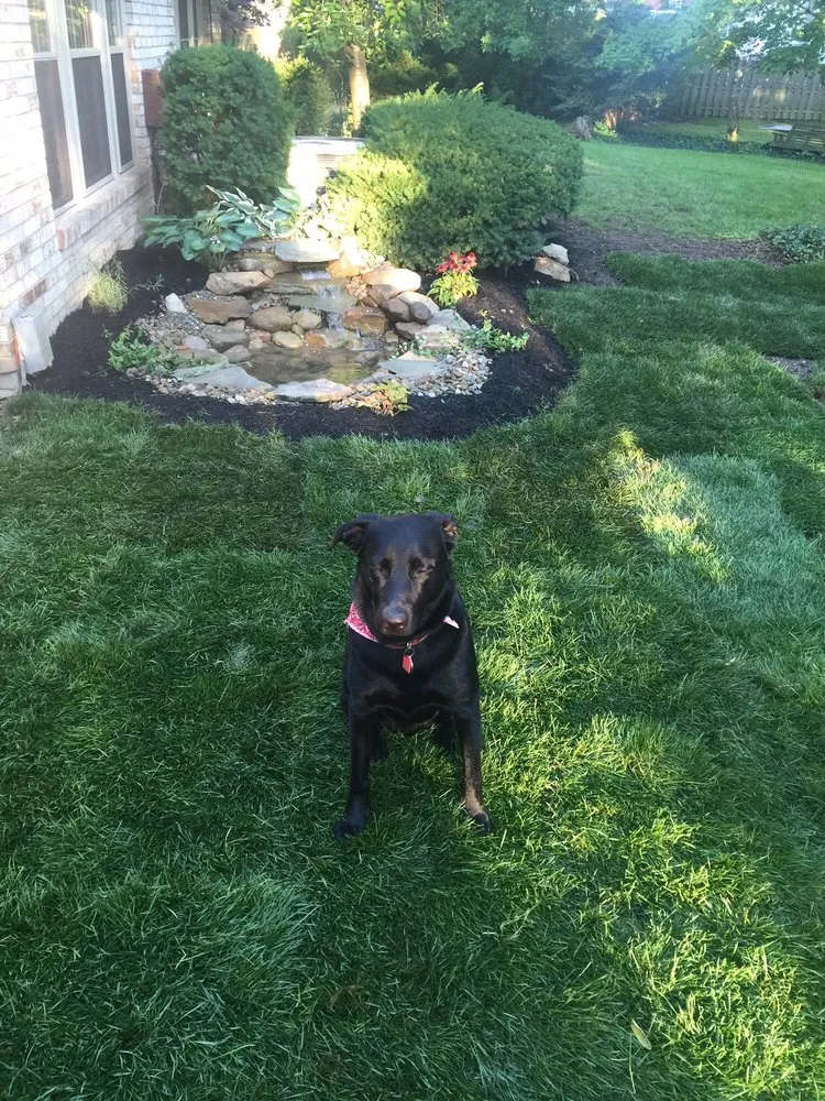 Expert lawn care service in Cleveland, OH - Premier Landscaping