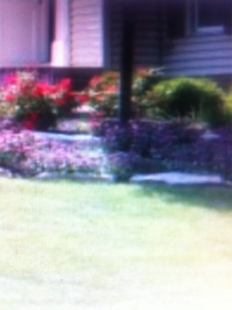 Top-rated lawn mowing service in Cleveland, OH by Premier Landscaping