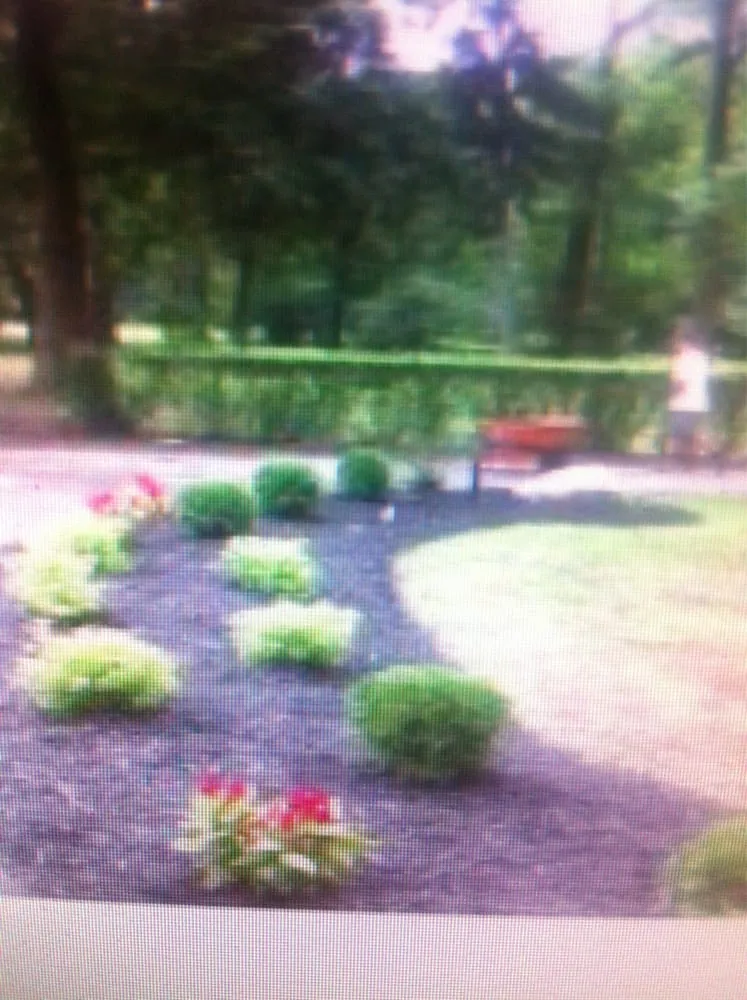 Top-rated yard cleanup service experts serving Cleveland, OH - Premier Landscaping