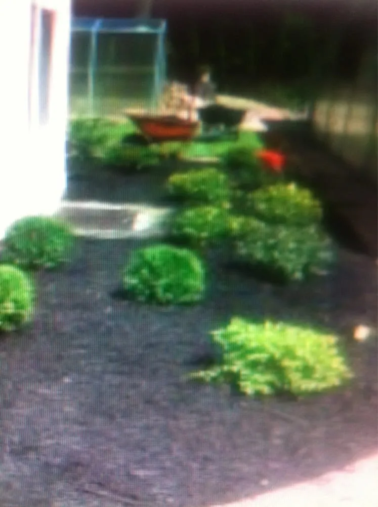 Affordable outdoor landscaping in Cleveland, OH by Premier Landscaping