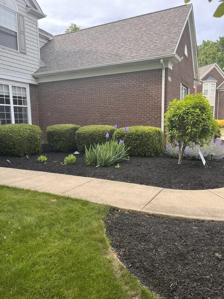 Trusted landscaping services for beautiful yards across Cleveland, OH - Premier Landscaping