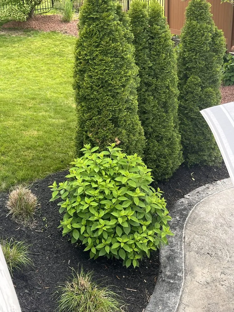 Top-rated yard maintenance in Cleveland, OH - Premier Landscaping
