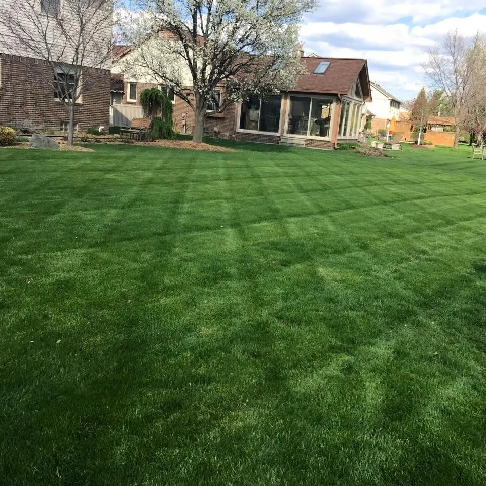 Expert garden landscaping in Delhi, CA by Premier Landscaping