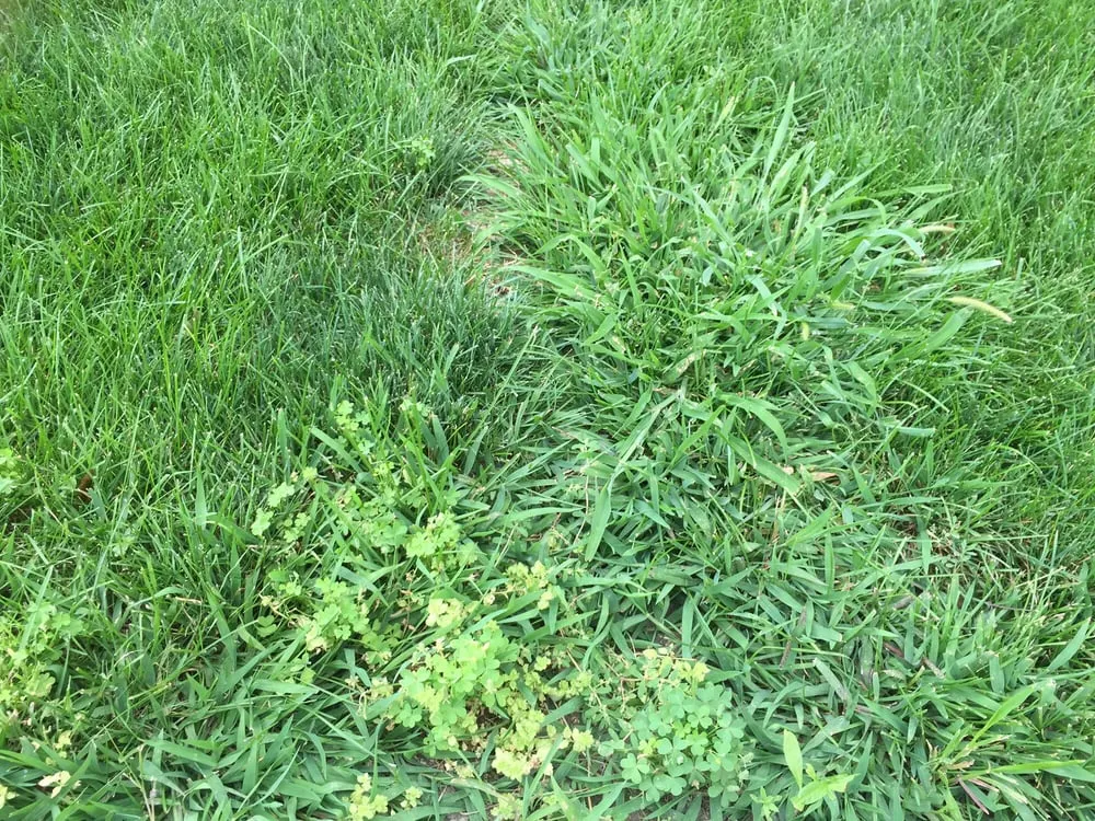 Expert residential landscaping experts serving Elkhart, IN - Premier Landscaping