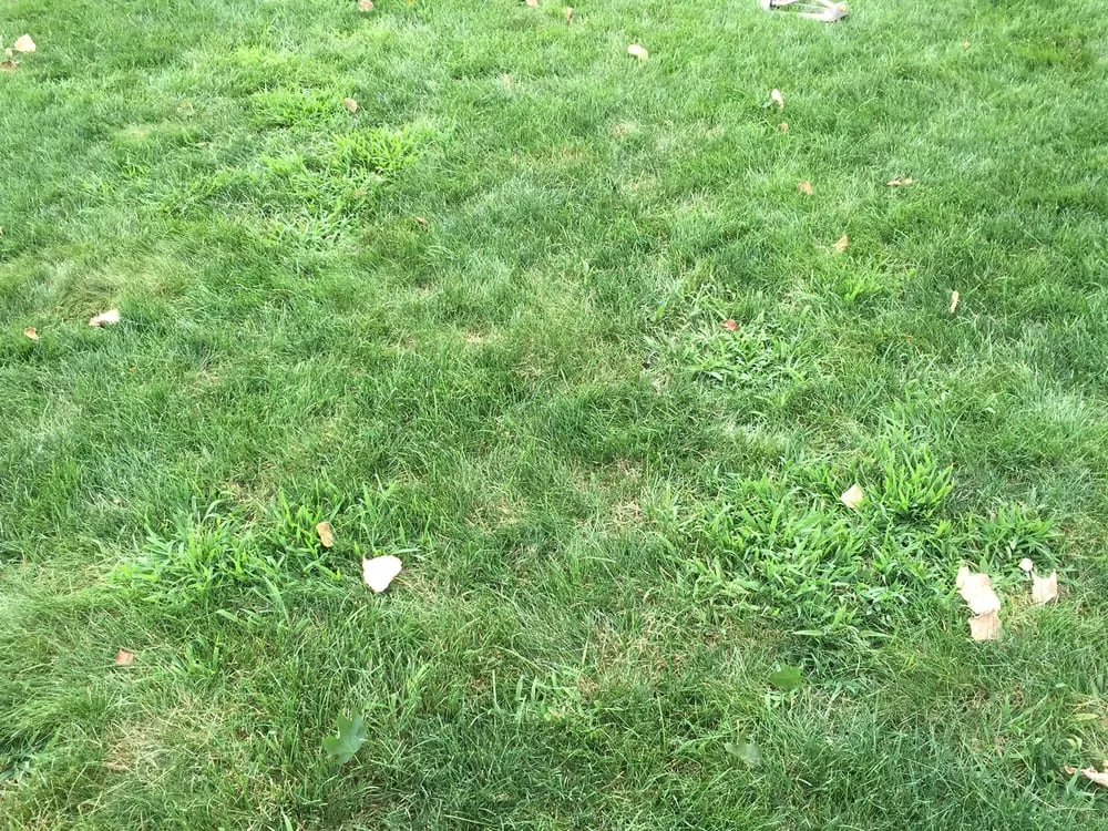 Custom garden landscaping for beautiful yards in Elkhart, IN by Premier Landscaping