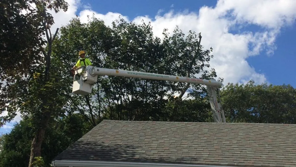 Top-rated garden landscaping for outdoor upgrades across Randolph, MA - Premier Landscaping