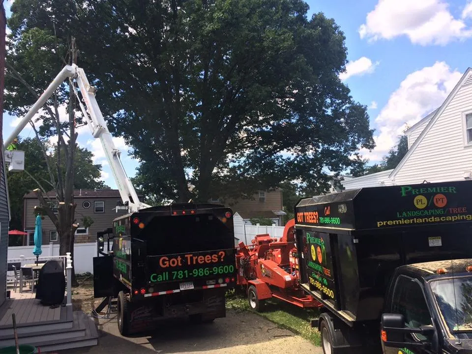 Affordable yard cleanup service experts serving Randolph, MA - Premier Landscaping