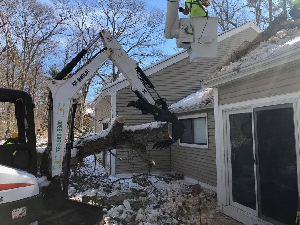 Reliable garden landscaping in Randolph, MA by Premier Landscaping