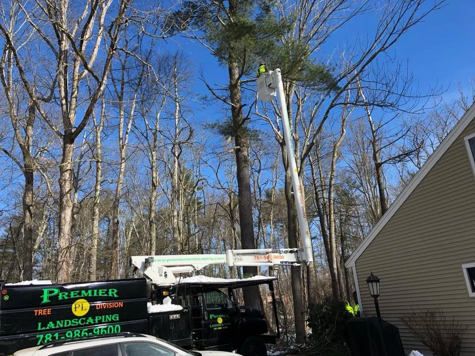 Expert yard cleanup service near you in Randolph, MA by Premier Landscaping