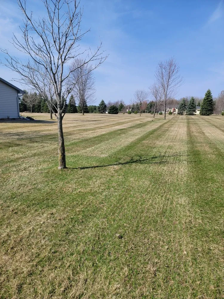 Custom garden landscaping for homes in Andover, MN by Premier Landscaping Services