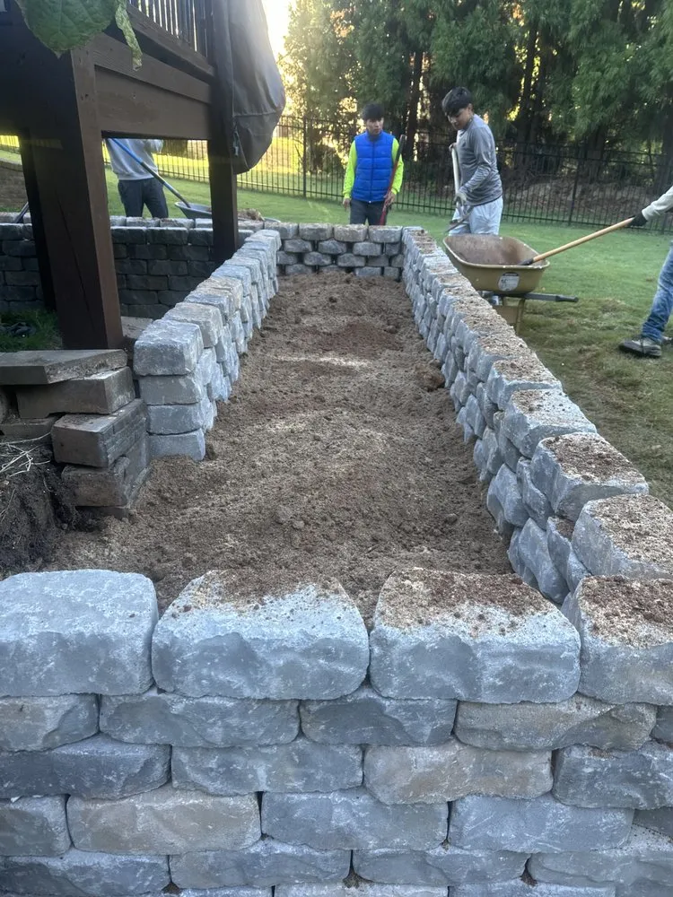 Top-rated yard cleanup service experts serving Carrollton, GA - Premier Landscaping Solutions