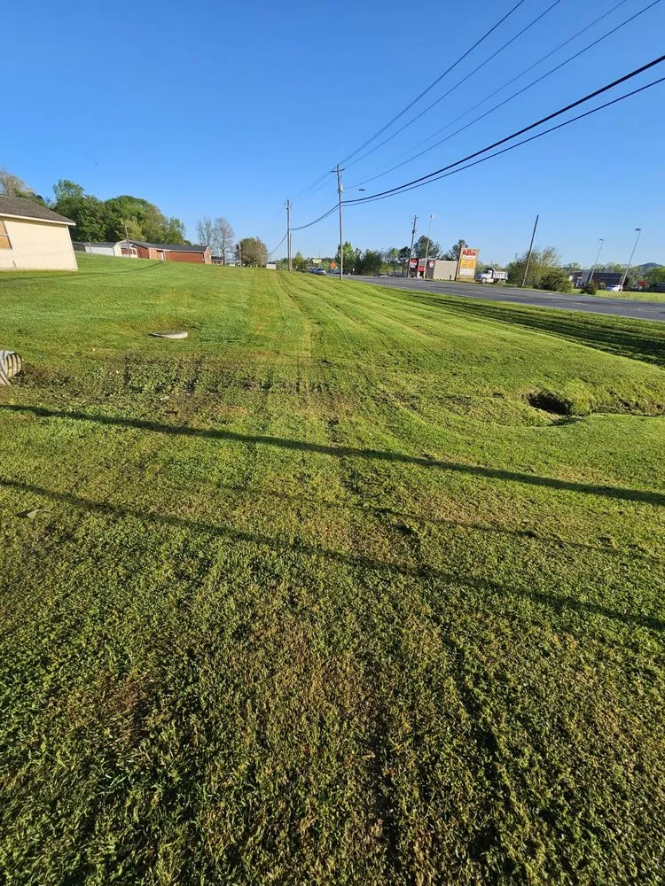 Local yard cleanup service for year-round maintenance in Carrollton, GA by Premier Landscaping Solutions