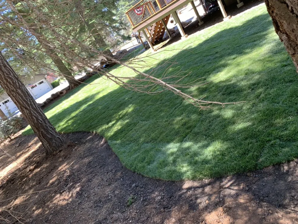 Top-rated landscape installation in Westwood, CA by Premier Landscaping
