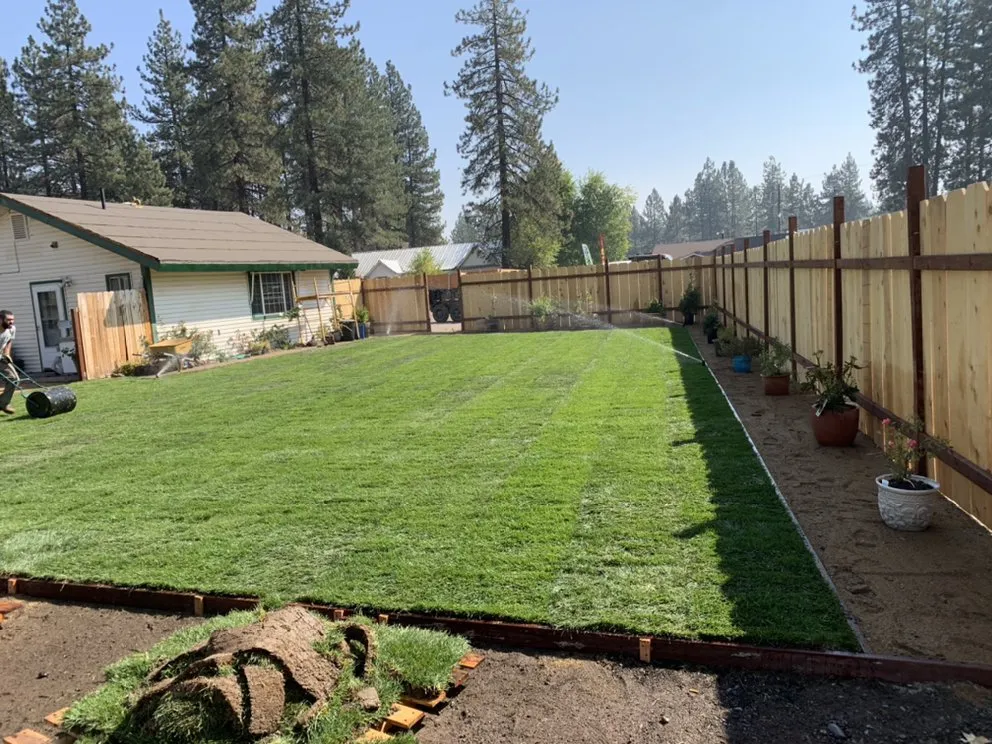 Top-rated landscape design in Westwood, CA - Premier Landscaping