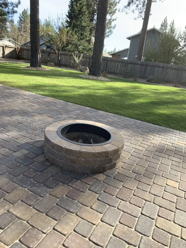 Expert yard cleanup service experts serving Westwood, CA - Premier Landscaping