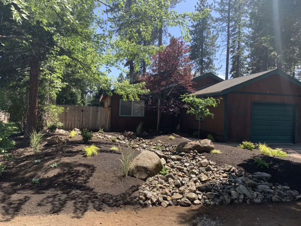 Affordable outdoor landscaping in Westwood, CA by Premier Landscaping