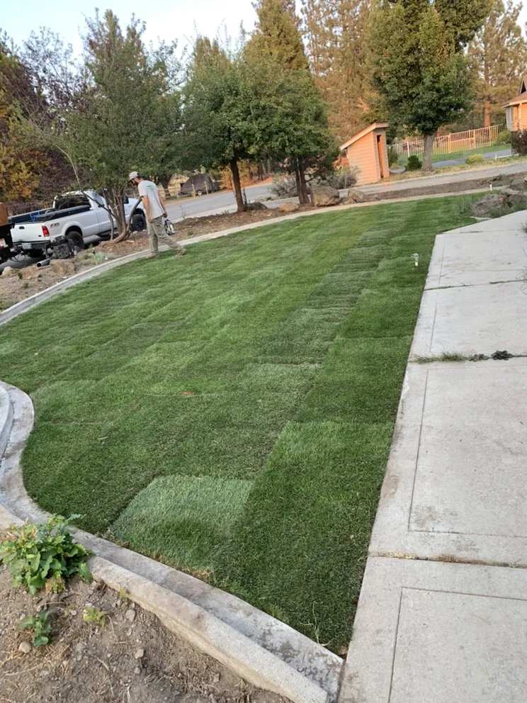 Reliable landscape design experts serving Westwood, CA - Premier Landscaping