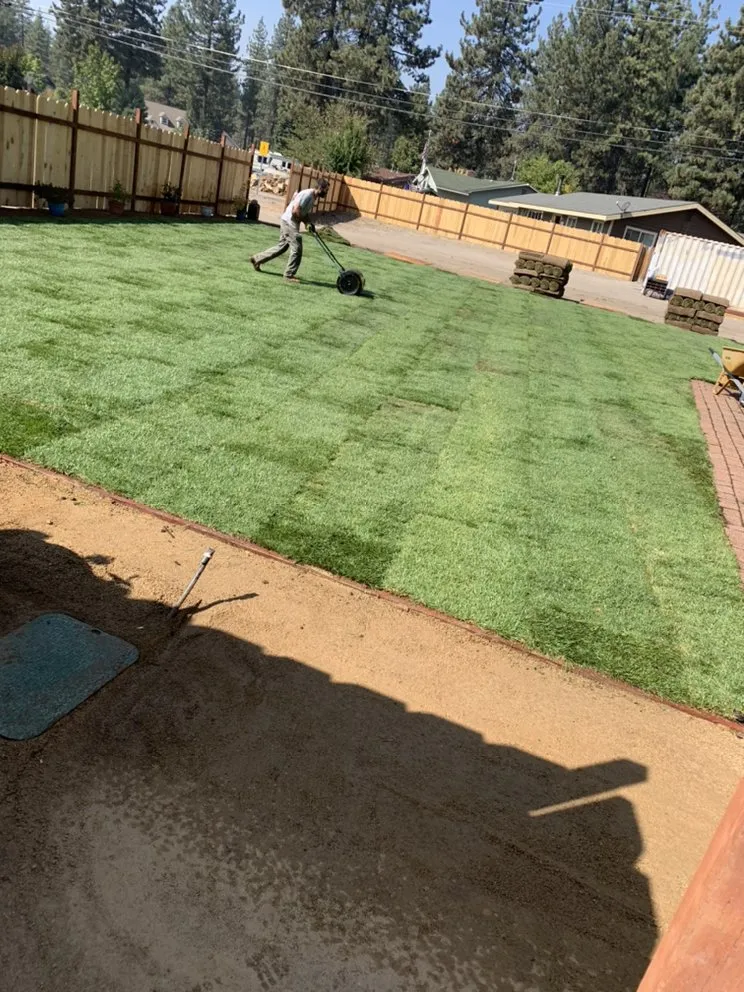 Top-rated garden landscaping in Westwood, CA by Premier Landscaping