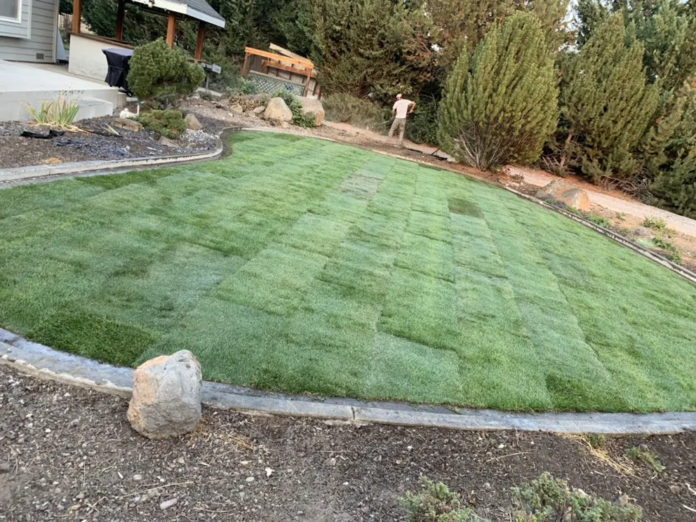 Trusted outdoor landscaping experts serving Westwood, CA - Premier Landscaping