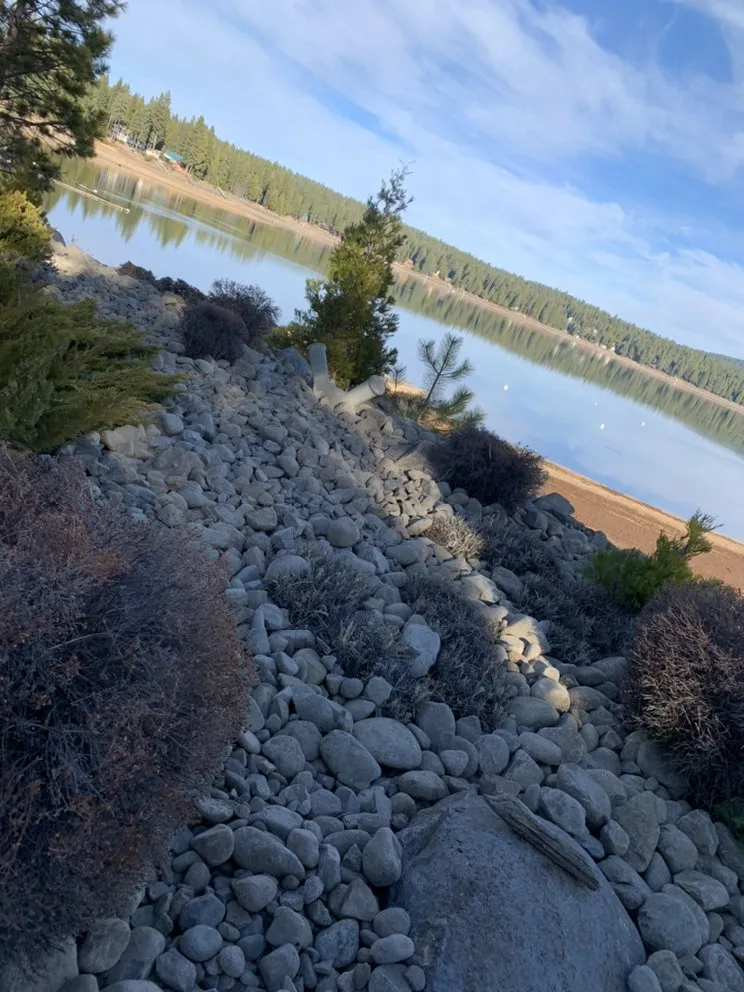 Affordable yard cleanup service in Westwood, CA by Premier Landscaping