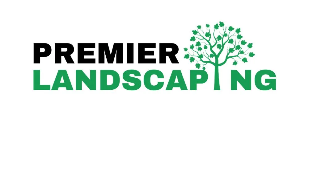 Expert yard cleanup service in Westwood, CA - Premier Landscaping