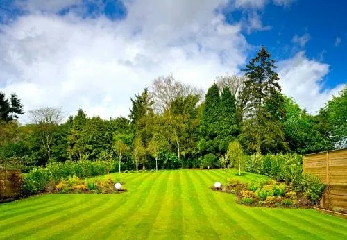 Expert yard cleanup service in Wichita, KS by Premier Landscaping