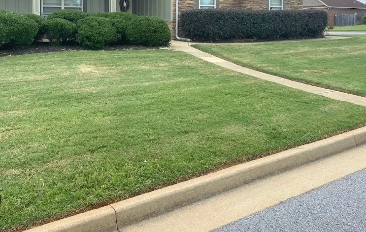 Expert outdoor landscaping for beautiful yards in Milwaukee, WI by Premier Landscapings