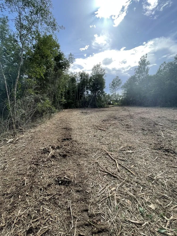 Affordable landscaping services in Cantonment, FL by Premier Landworks