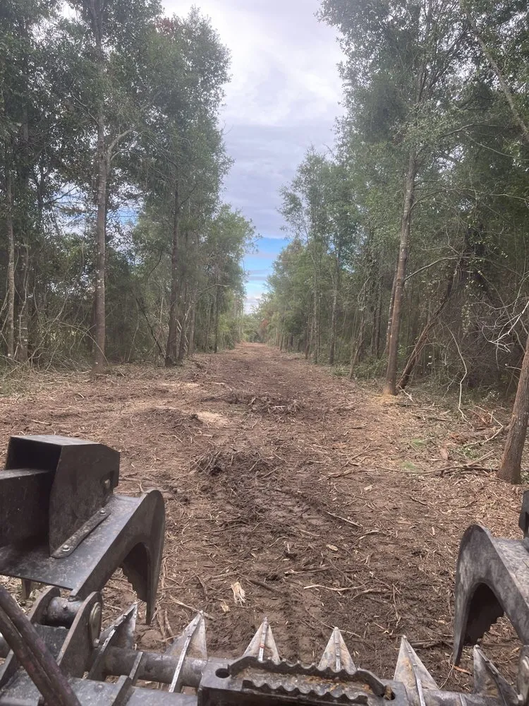 Affordable yard maintenance in Cantonment, FL by Premier Landworks