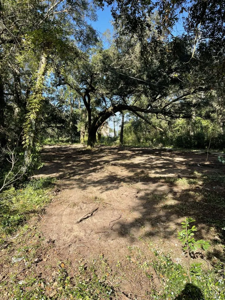 Expert garden landscaping in Cantonment, FL - Premier Landworks